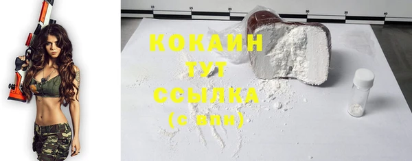 СК Алзамай