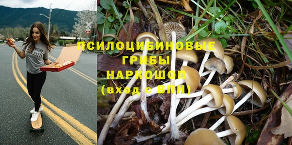 бошки Алексеевка